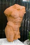 Gethsemane Torso